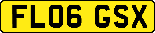 FL06GSX