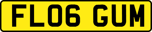FL06GUM