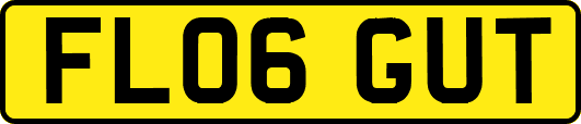 FL06GUT