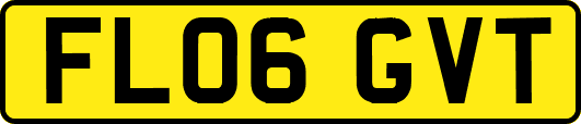 FL06GVT