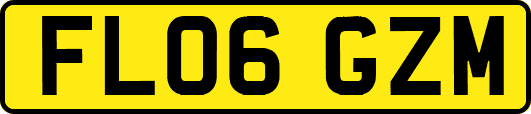 FL06GZM