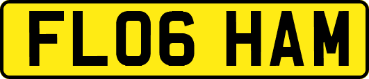 FL06HAM