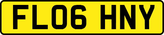 FL06HNY