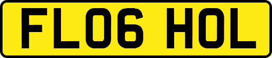 FL06HOL