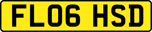 FL06HSD