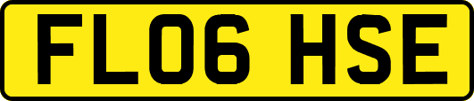 FL06HSE