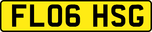 FL06HSG