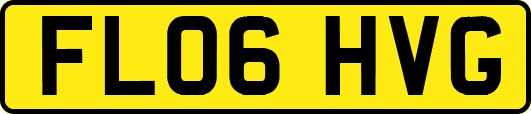 FL06HVG