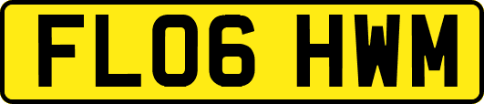FL06HWM