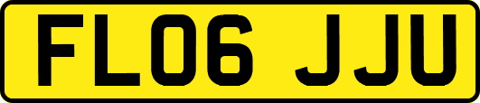 FL06JJU