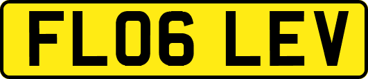 FL06LEV