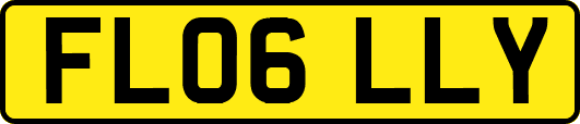 FL06LLY