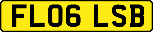 FL06LSB