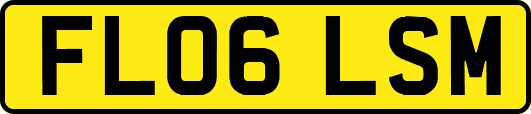 FL06LSM