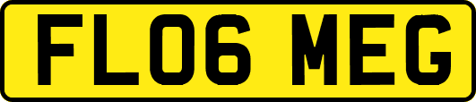 FL06MEG