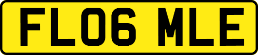 FL06MLE