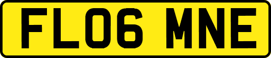 FL06MNE