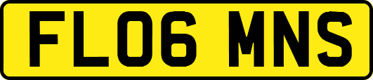 FL06MNS