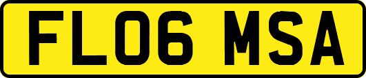 FL06MSA