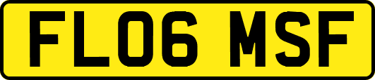 FL06MSF