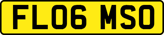FL06MSO