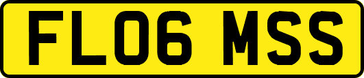 FL06MSS