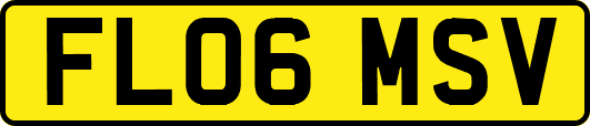 FL06MSV
