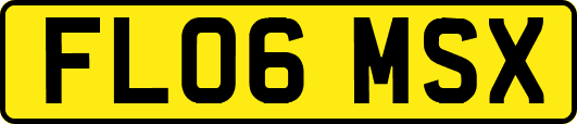 FL06MSX