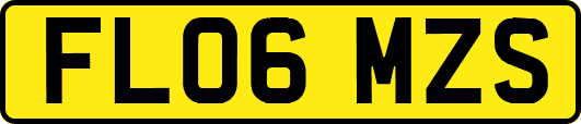 FL06MZS