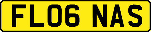 FL06NAS