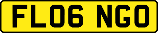 FL06NGO