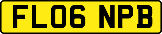FL06NPB