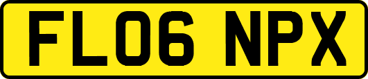 FL06NPX