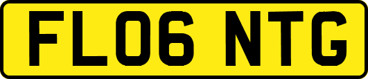 FL06NTG