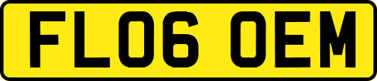 FL06OEM