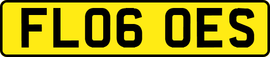 FL06OES
