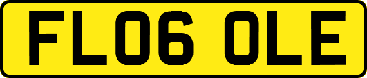 FL06OLE