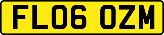 FL06OZM