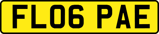 FL06PAE