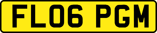 FL06PGM