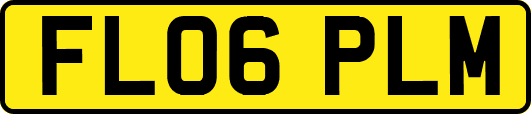 FL06PLM