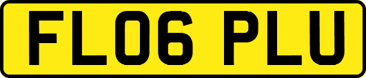 FL06PLU