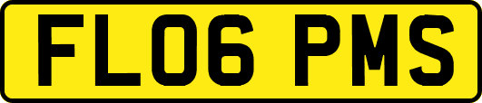 FL06PMS