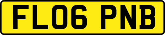 FL06PNB