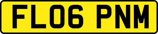 FL06PNM