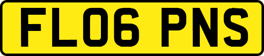 FL06PNS