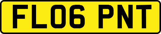 FL06PNT