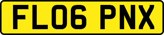 FL06PNX