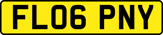 FL06PNY
