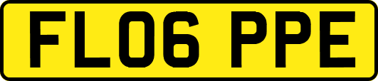 FL06PPE